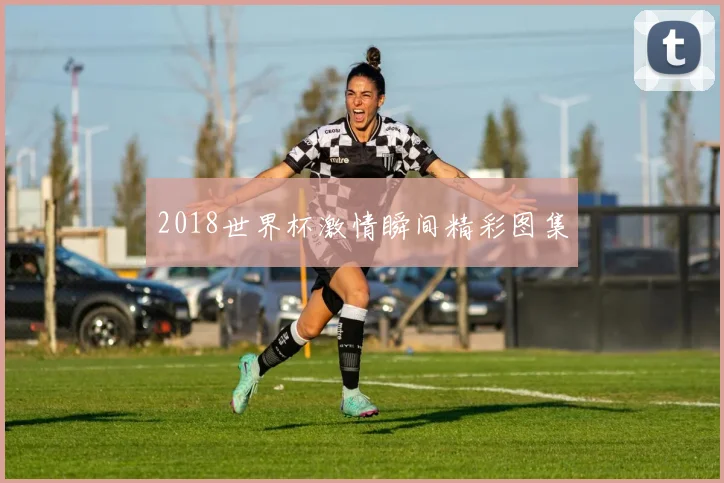 2018世界杯激情瞬间精彩图集
