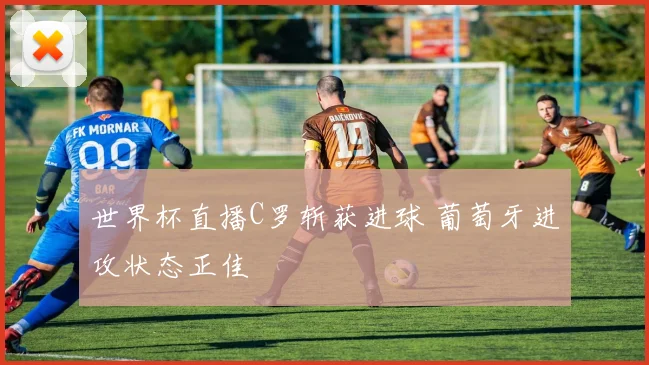 世界杯直播C罗斩获进球 葡萄牙进攻状态正佳
