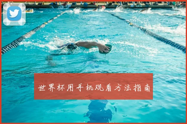 世界杯用手机观看方法指南