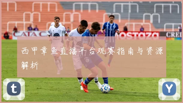 西甲章鱼直播平台观赛指南与资源解析